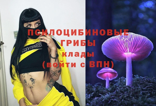 дмт Михайлов