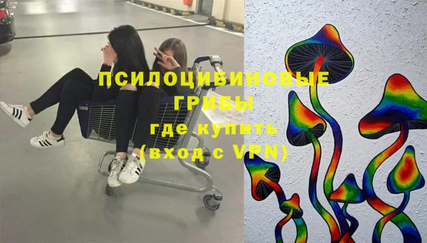 apvp Михайловск