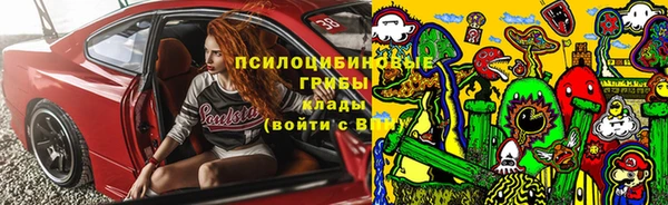 дмт Михайлов