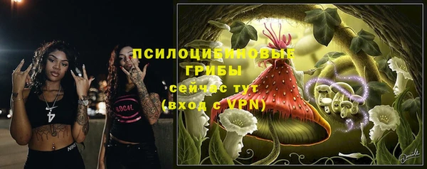 стаф Мегион