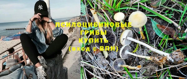 каннабис Михайловка