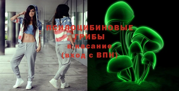 гидропоника Свободный