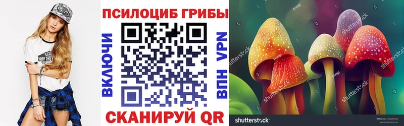 Псилоцибиновые грибы ЛСД  купить   Туран 